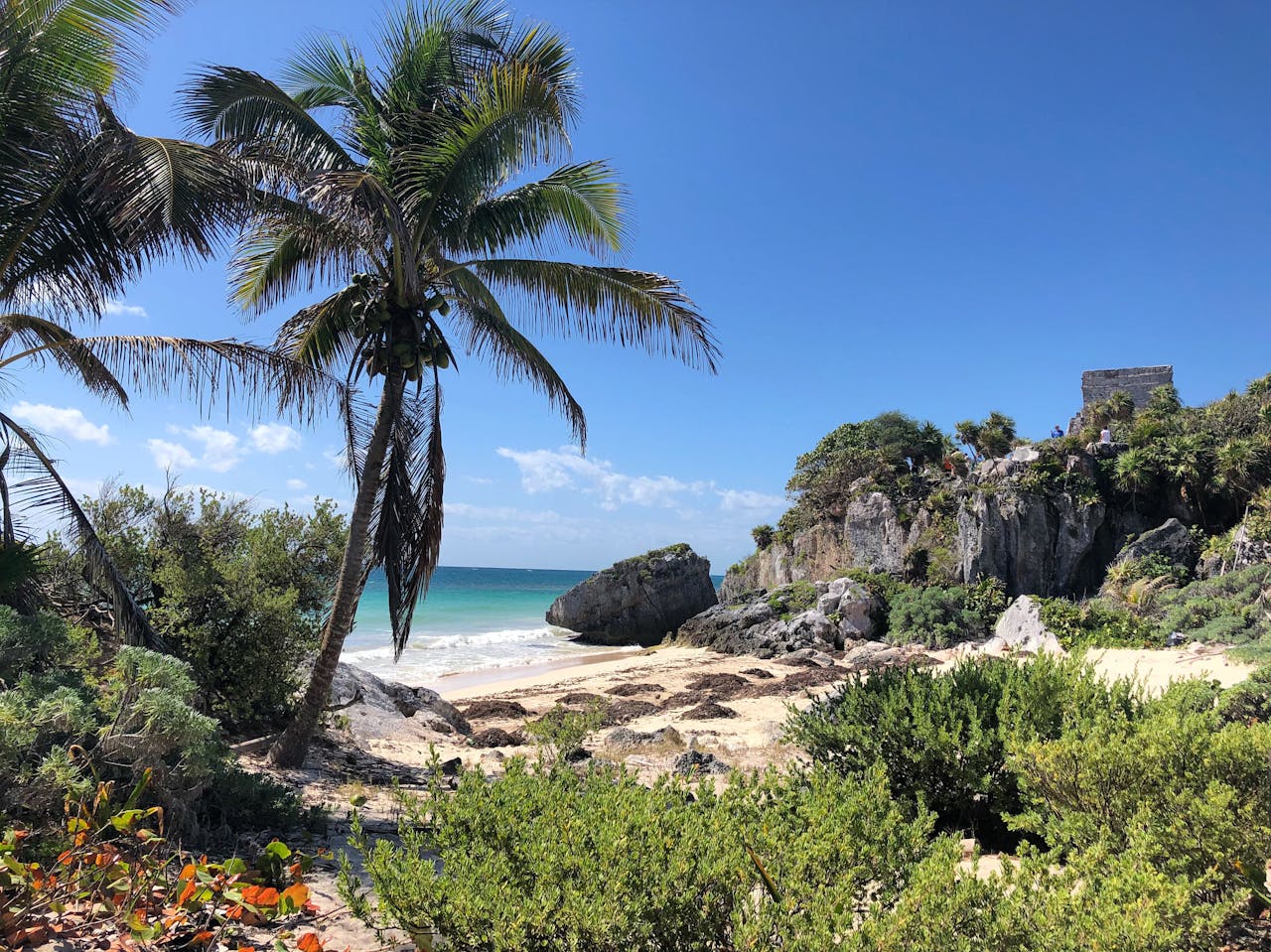 Services Scenic view of Tulums tropical beach with palm trees and ruins, perfect vacation spot.